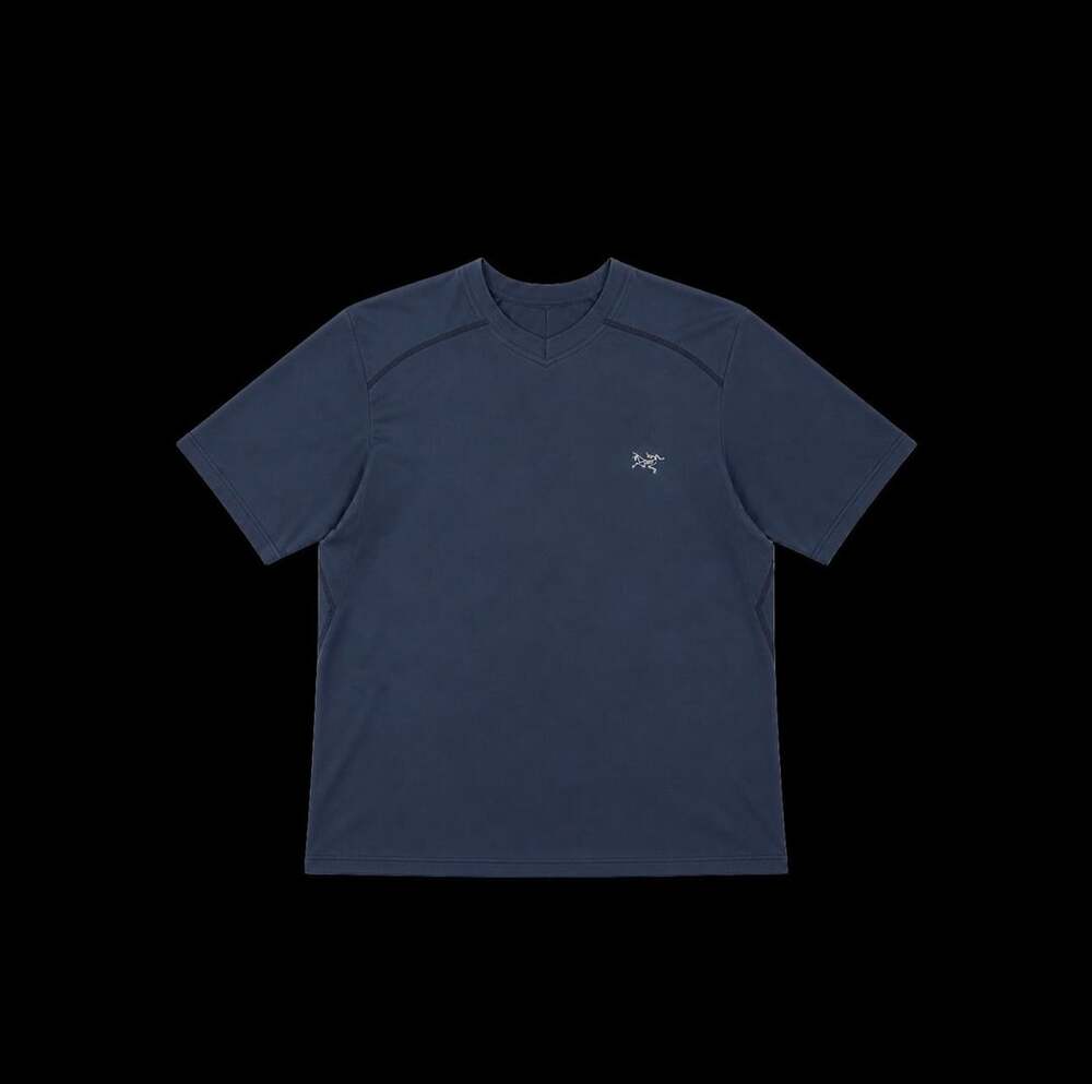 Vintage Arc`teryx v neck tshirt